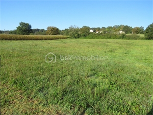 terrain à la vente -   64330  BALIRACQ MAUMUSSON, surface 6038 m2 vente terrain - UBI475671386
